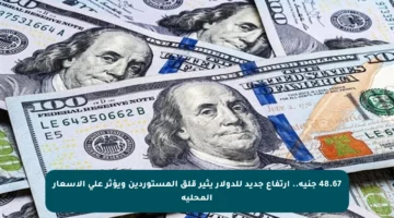 48.67 جنيه.. ارتفاع جديد للدولار يثير قلق المستوردين ويؤثر على الأسعار المحلية